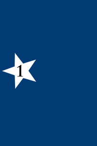 1st brigade 1st division 14th corps flag